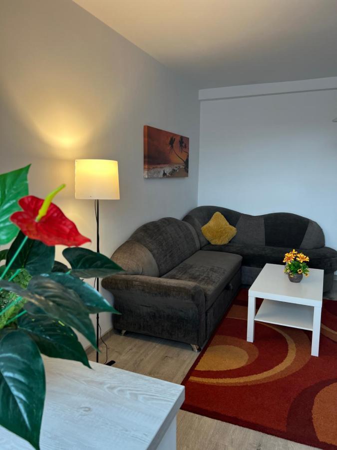 House51 Apartment Brasov Exterior photo