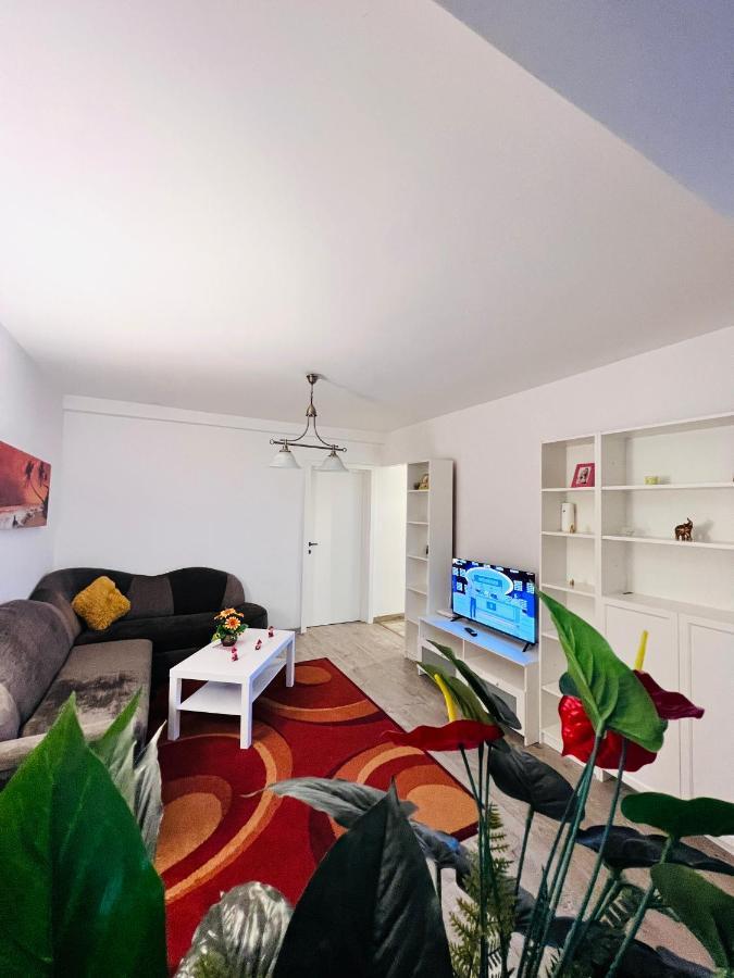 House51 Apartment Brasov Exterior photo